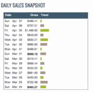 Daily Sales Snapshot