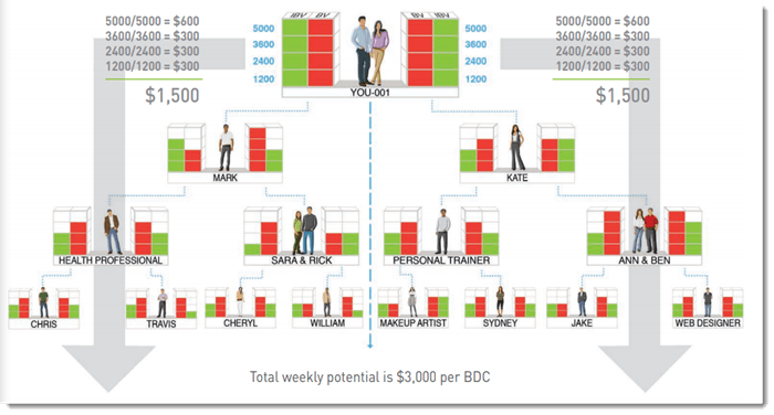 Market America Income System