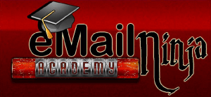 Email Ninja Academy Logo