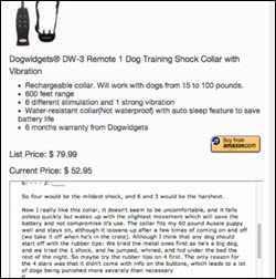 amazon auto posting