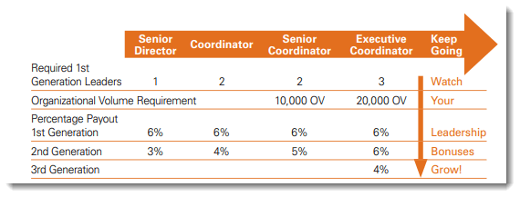 Leadership Bonuses