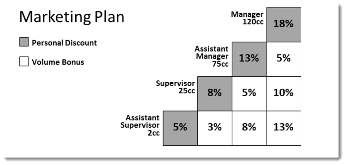 Marketing Plan