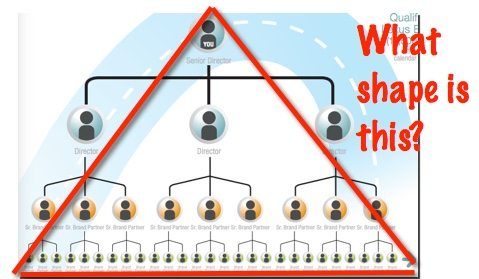 nerium pyramid