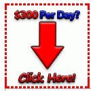 $300 per day
