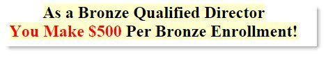 Bronze Qualified Director