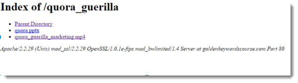You have to click the .mp4 file to access the video