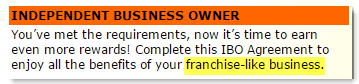 Franchise-like Business