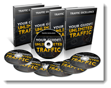 traffic excellence