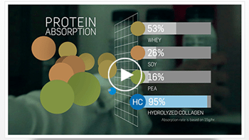 Protein Absorption