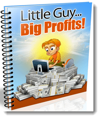 Little Guy Big Profits
