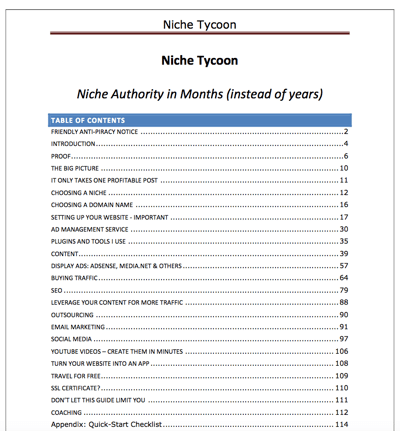 niche tycoon pdf preview