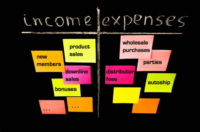 income vs expenses for an MLM business