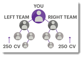 MLM Structure