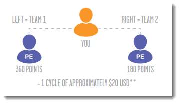 Team performance structure