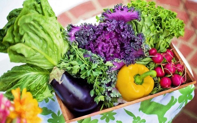 A basket of organic vegetables