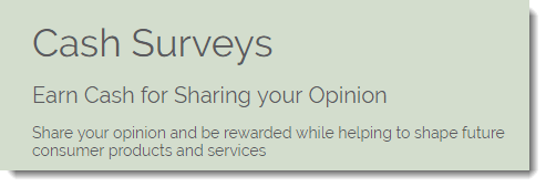 Cash Surveys