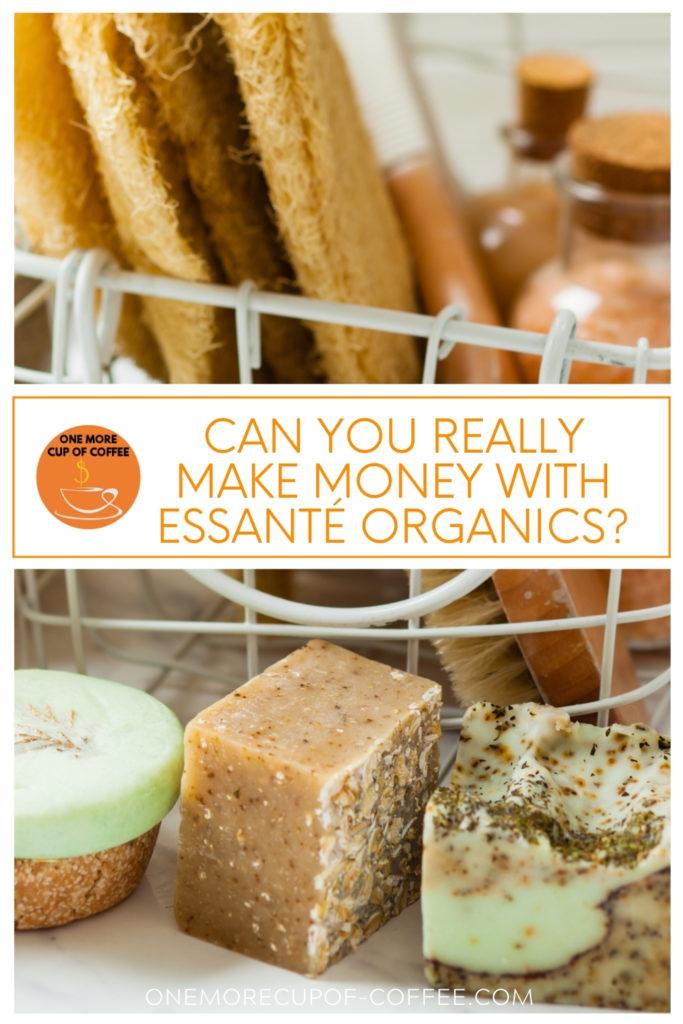 different organic products with text overlay "Can You Really Make Money With Essanté Organics?"