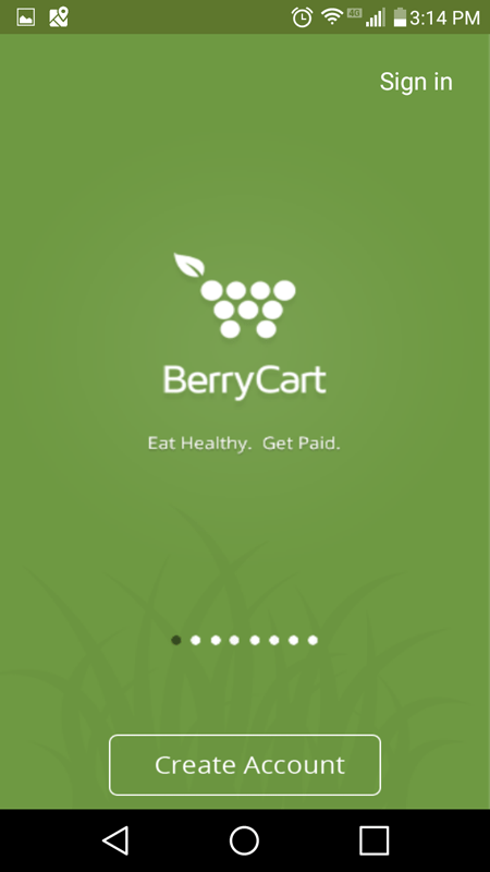 BerryCart Introduction Screen