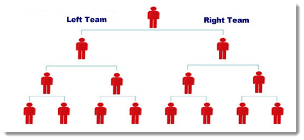 Team Structure