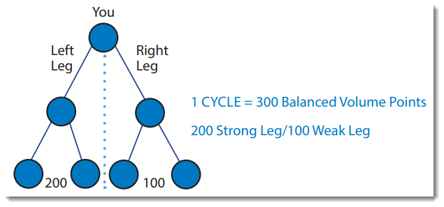 Binary Income Model