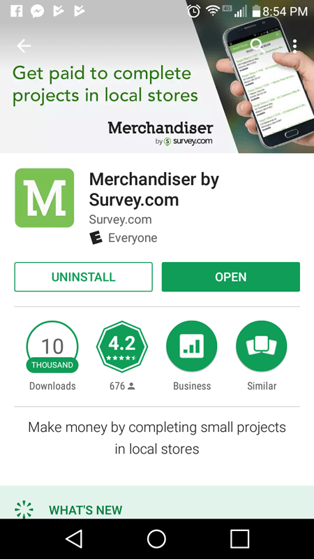 Merchandiser Basic Info