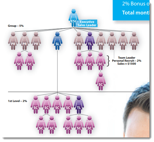 Team Structure