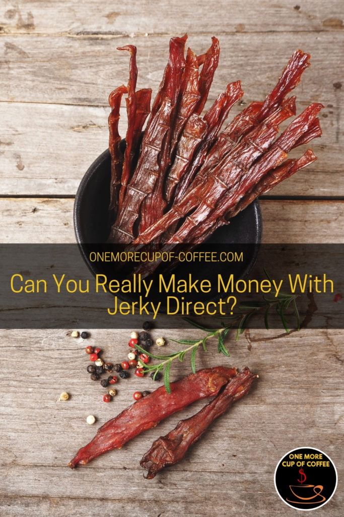 beef jerky in a black bowl with a couple of pieces beside it along with some spices and herb; with text overlay "Can You Really Make Money With Jerky Direct?"