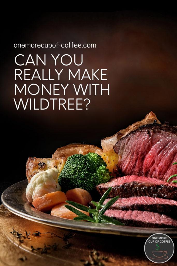 closeup image of a nicely plated roast beef and vegetables; with text overlay "Can You Really Make Money With Wildtree?"