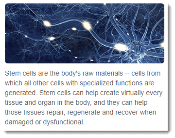 Raw Materials