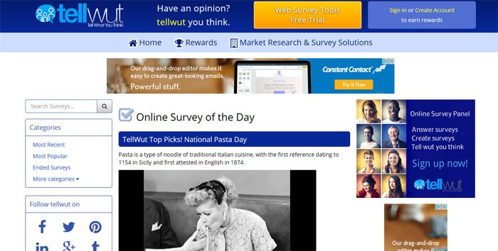 Can You Really Make Money With The Tellwut Survey Website?