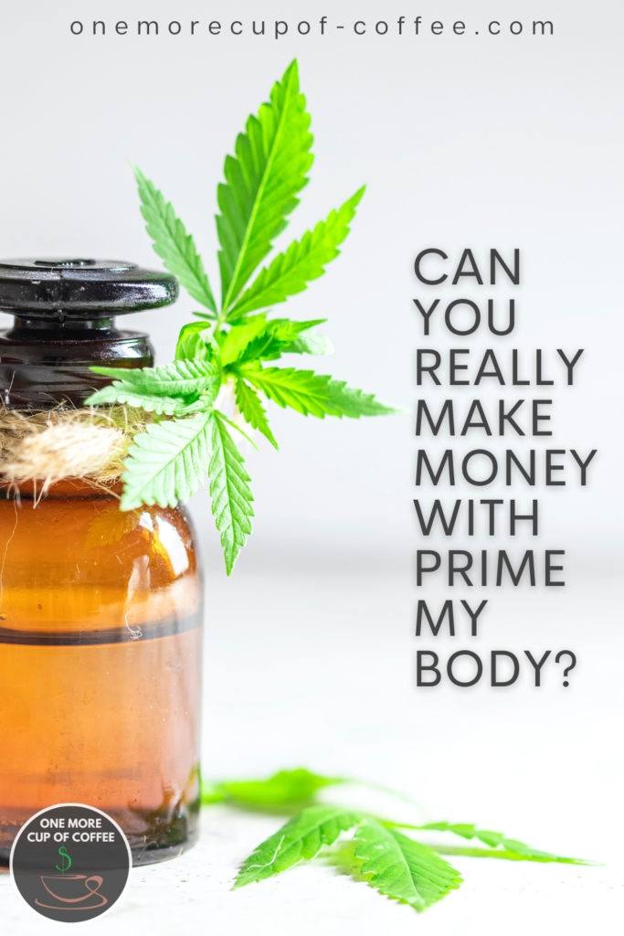 closeup image of amber bottle with hemp oil, a couple of fresh hemp leaves; with text overlay "Can You Really Make Money With Prime My Body?"