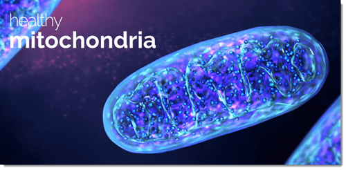 Healthy Mitochondria