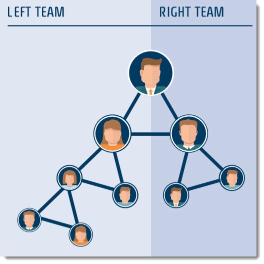 B hip Team Structure