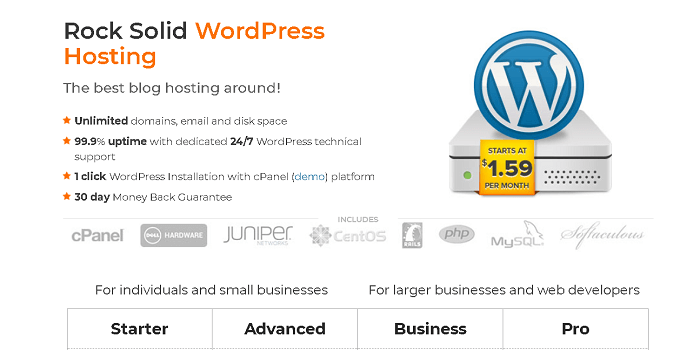 WordPress Hosting from Big Rock for $1.59 Per Month