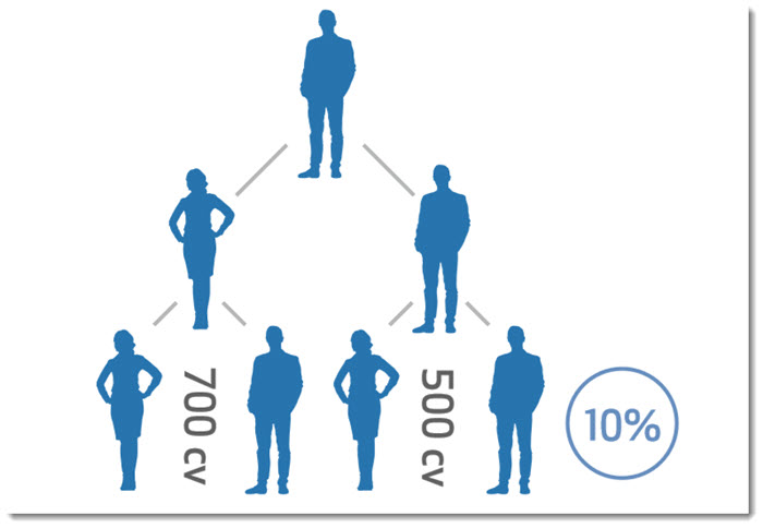 Binary Model for Team Building