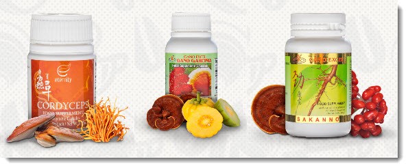 Ganoderma Supplements