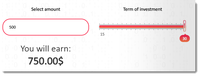 Investment Outcome