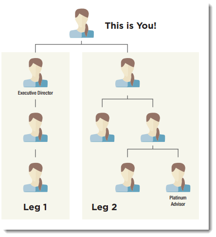 Leg Structure