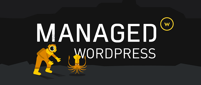Media Temple Affordable Managed WordPress Hosting