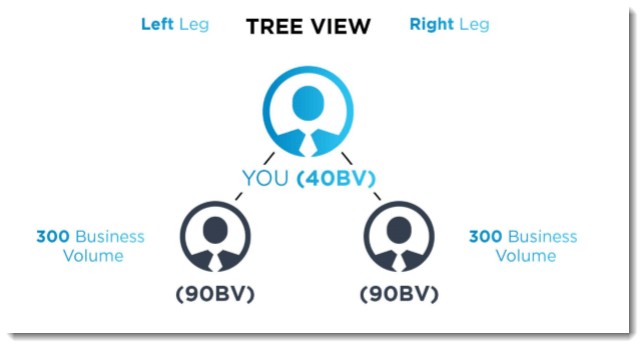 Binary System