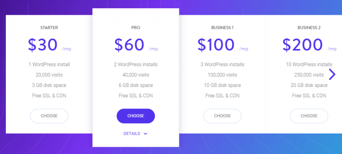 Kinsta offers a basic hosting plan for 30 dollars a month