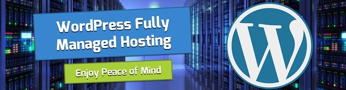 Power Up Hosting Provides Managed WordPress Hosting at Low Prices