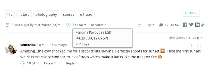 payout of from steemit shown in total dollars (steem power, steem backed dollars)