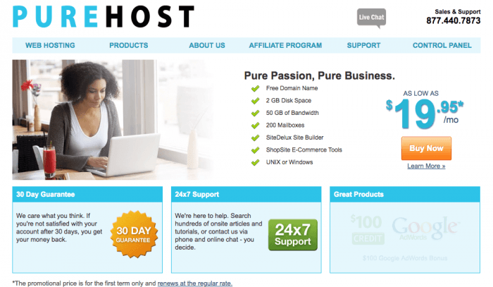 Purehost homepage screenshot
