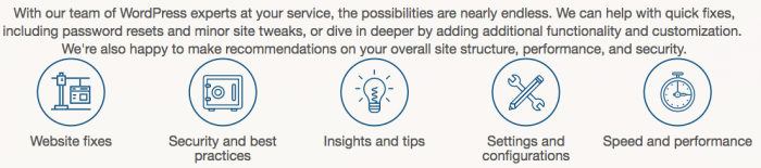 Website fixes, Security and Best practice, insights and tips, settings and configs and speed and performance.