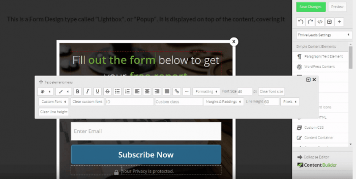 Opt-in form template being filled out on the Thrive Leads platform.