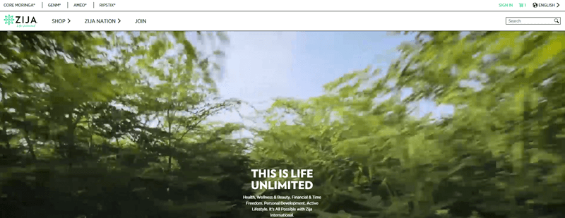 Zija International website screenshot showing the camera moving through a green bushy area with the sky above. 