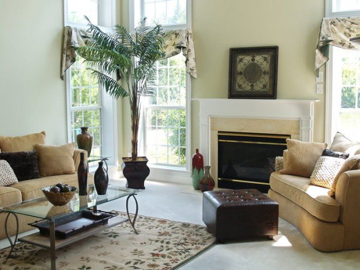 image of clean home interior with palm tree and cream colored furniture