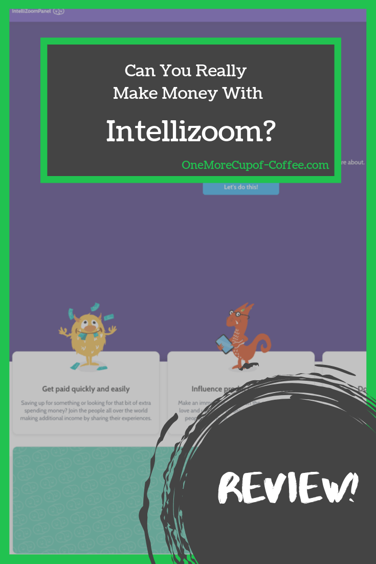 screenshot of the intellizoom website with the phrase "can you really make money with intellizoom?"