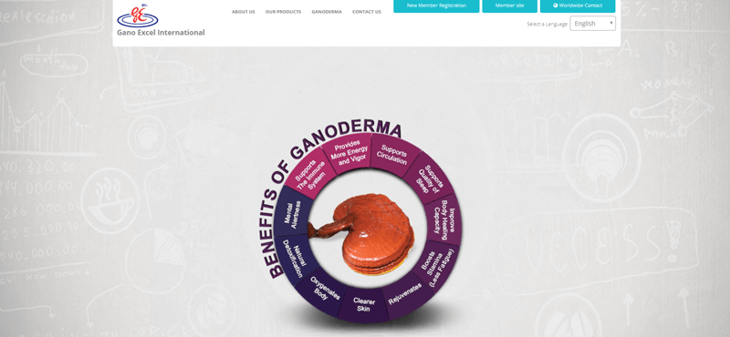 Gano Excel website screenshot showing an image of the mushroom inside a wheel of benefits. 